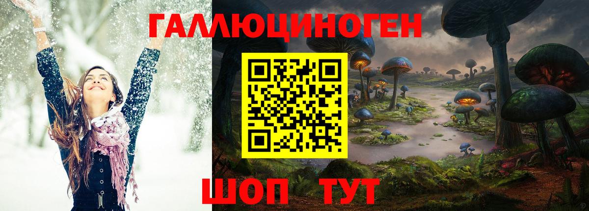 Галлюциногенные грибы Psilocybine cubensis Нерюнгри