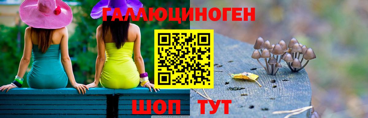 Псилоцибиновые грибы Psilocybine cubensis  Псилоцибиновые грибы Cubensis  Вход с VPN  Нерюнгри 